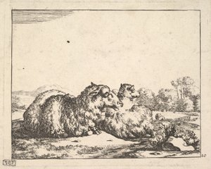 Sheep, from a set of 16 plates, 1664 by Marcus de Bye