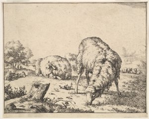 Sheep, from a set of 16 plates by Marcus de Bye