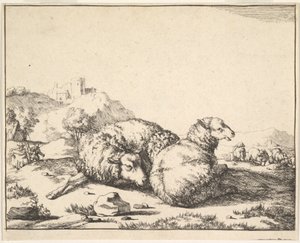 Sheep, from a Set of 16 Plates by Marcus de Bye