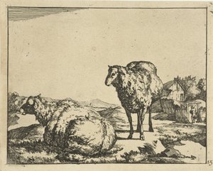 Standing and Lying Sheep with Farm in Background