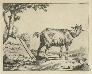 Standing Goat Seen from Behind by Marcus de Bye