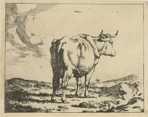 Standing Cow Seen from Behind (Cattle) by Marcus de Bye