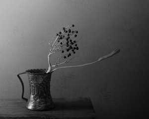 Dark Berries Still Life
