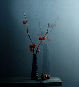 Moody Botanical Still Life