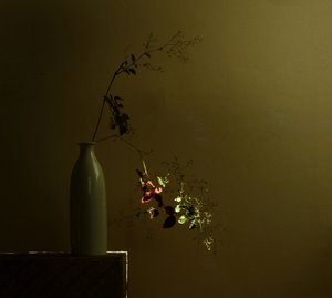 Moody Botanical Still Life