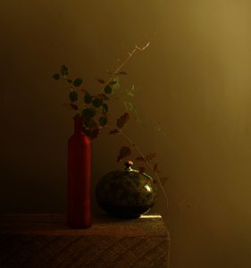 Red Bottle Dark Still Life