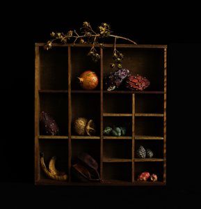 Rustic Botanical Still Life
