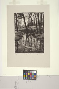 The Brook in Spring, Pine Manor