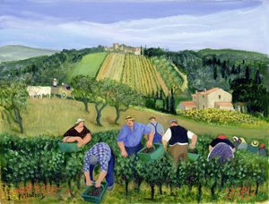 Vineyard, Olives and Sunflowers by Margaret Loxton