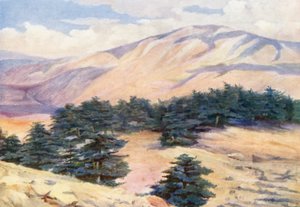 General View of the Cedars and Dehr el Kodib by Margaret Thomas