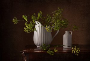 Dill Flowers Still Life by Margareth Perfoncio