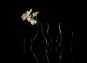 Elegant Orchid Silhouettes by Margareth Perfoncio