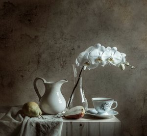 Elegant Orchid Still Life by Margareth Perfoncio
