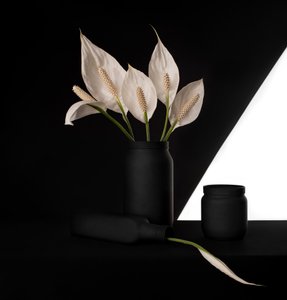 Elegant Peace Lily Contrast by Margareth Perfoncio