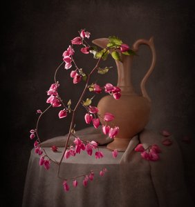 Elegant Pink Still Life by Margareth Perfoncio
