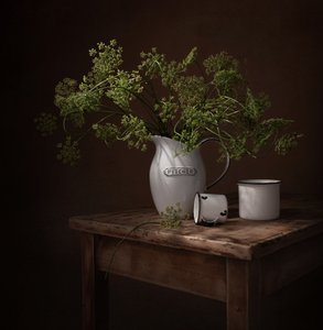 Moody Botanical Still Life by Margareth Perfoncio