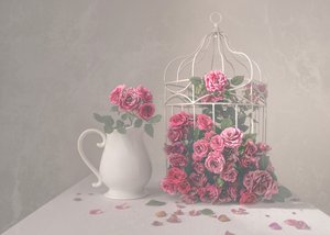 Roses and Birdcage
