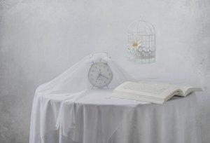 Serene Clock Book Birdcage by Margareth Perfoncio