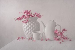 Soft Pink Still Life by Margareth Perfoncio