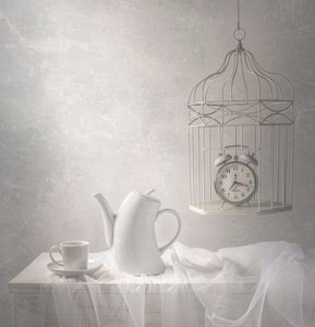 Time in a Cage