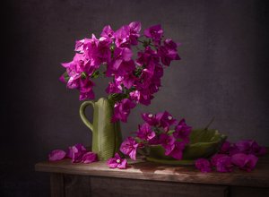 Vibrant Bougainvillea Still Life by Margareth Perfoncio