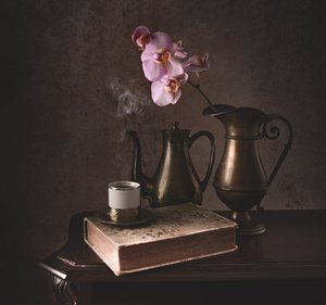 Warm Orchid Still Life