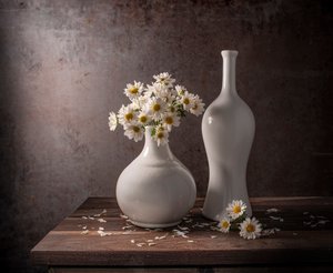 White Daisies Still Life by Margareth Perfoncio