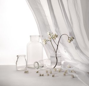White Floral Still Life by Margareth Perfoncio
