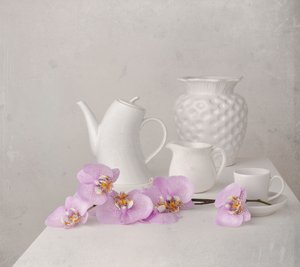 White Orchid Still Life by Margareth Perfoncio