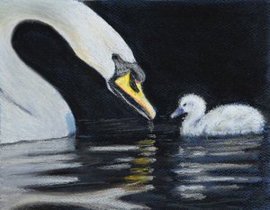 Follow Mummy.
