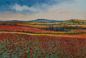 Poppy fields..Flanders by Margo Starkey