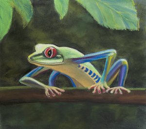 Tree frog. by Margo Starkey