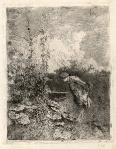 The Botanist by Marià Fortuny Marsal