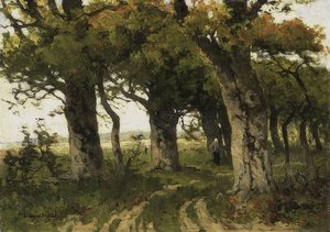 Oak Avenue in Late Summer