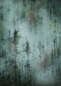 Misty Green Forest