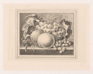 Composition with Fruits in a Frame by Maria Geertruida de Goeje Barbiers (attributed to)