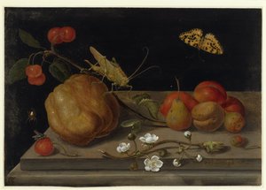 Still Life with Fruits, a Grasshopper and a Butterfly by Maria Sibylla Merian