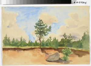 Landscape Study, Sandpit