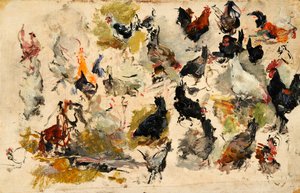 Roosters Study