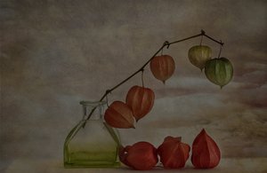 Quiet Autumn Lanterns by Marie-anne Stas