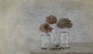 Rustic Dried Flower Still Life by Marie-anne Stas