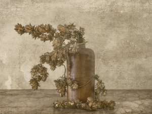 Rustic Hops Still Life by Marie-anne Stas