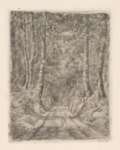 Forest Along a Hollow Road by Marie Adolphine van der Goes van Dirxland