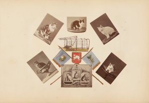 The Madame B Album by Marie Blanche Hennelle Fournier