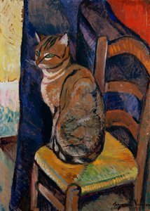 Study of a Cat Sitting on a Chair