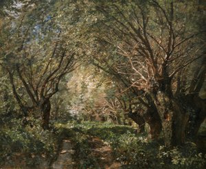 Willow Avenue in Stillfried on the March