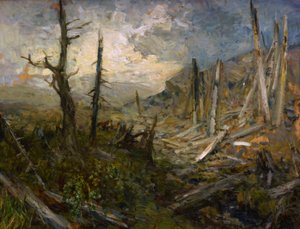 Windfall on the Koralpe