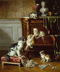 The Bottom Draw by Marie Yvonne Laur