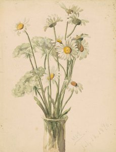 Daisies and Queen Anns Lace in a Vase by Marietta Minnegerode Andrews