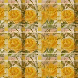 Fancy With Roses by Marina Falco